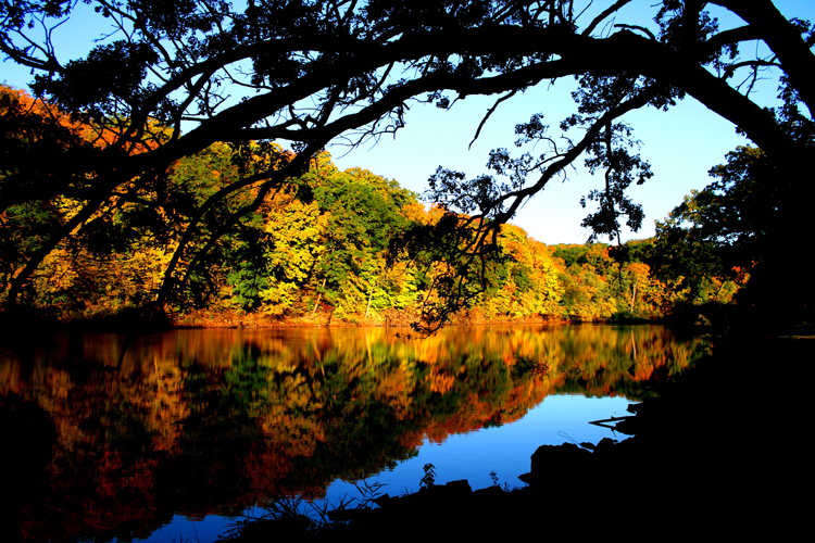 Cross Country Ski Trails  Linn County, IA - Official Website